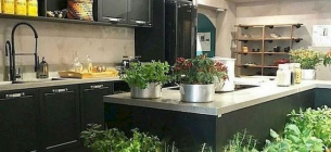 35 Inspirasi Desain Taman Kecil di Dalam Rumah Yang Cantik